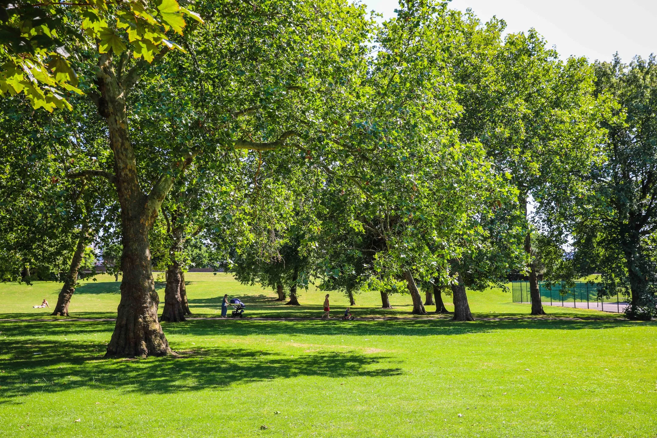 Open Green spaces nearby